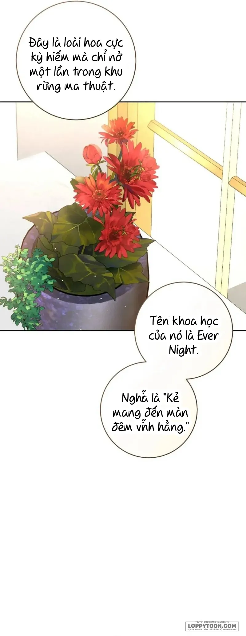 Cuộc Hôn Nhân Xa Hoa Của Đại Công Tước Là Giả Chap 103 - trang 6