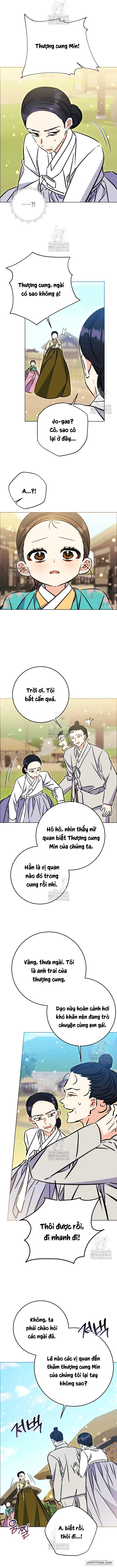 Tôi Sinh Ra Là Con Gái Của Một Cung Phi Hèn Mọn Chap 56 - trang 8