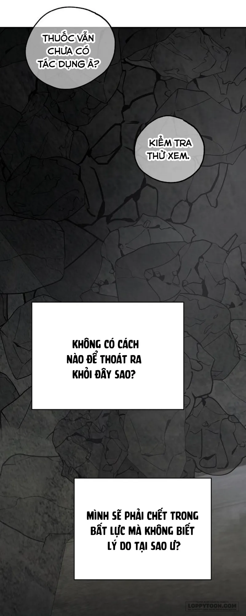 Gia Đình Chồng Quá Ám Ảnh Bởi Tôi Chap 114 - trang 90