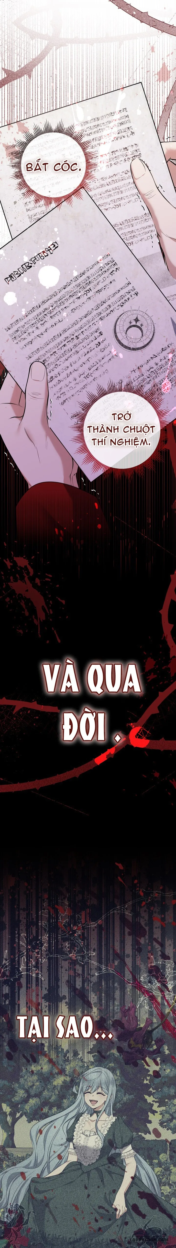 Tiểu Thư Tích Tiền Đi Bụi Chap 53 - trang 13