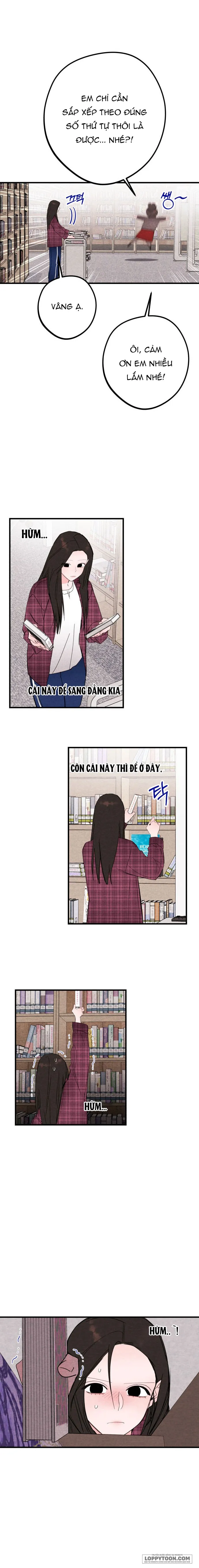 Bộ Mặt Che Giấu Của Tiền Bối Hoàn Hảo Chap 22 - 22. Tiếng gầm gừ của tiền bối hoàn hảo - trang 16