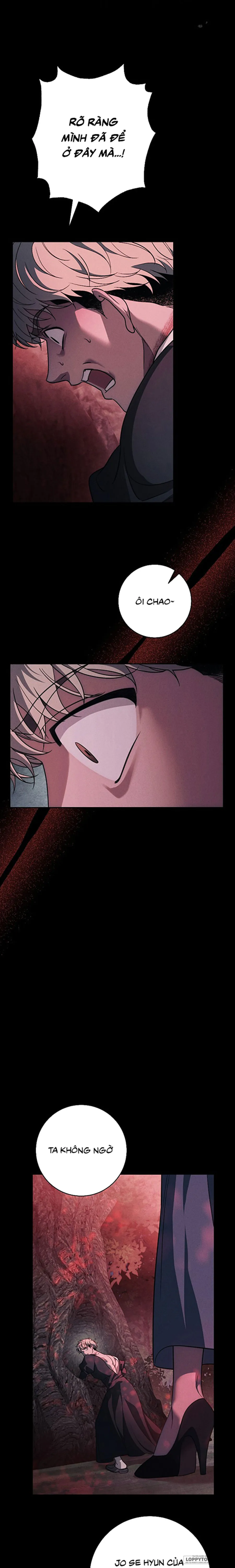 Mộ Thiên Nga Chap 39 - trang 1