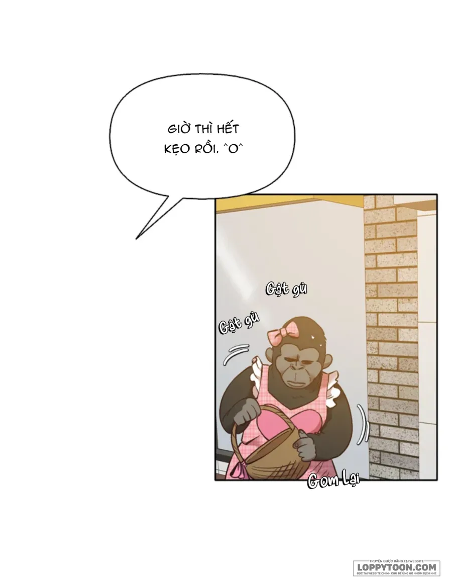 Thanh Xuân Của Chúng Ta Chap 55 - trang 13