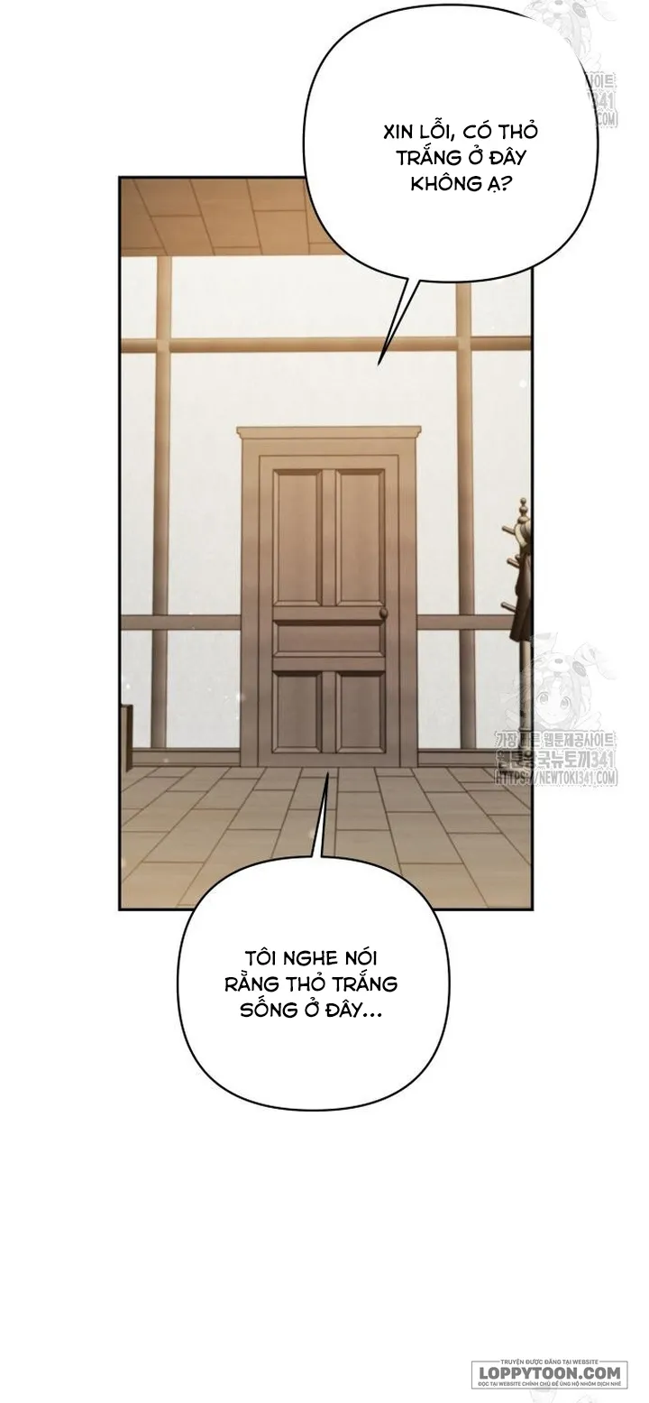 Thỏ Trắng Ở Xứ Sở Thần Tiên Chap 20 - trang 8