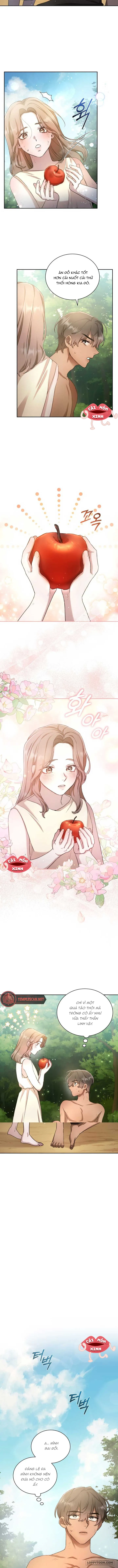 Khu Rừng Hoang Dã Chap 2 - trang 11