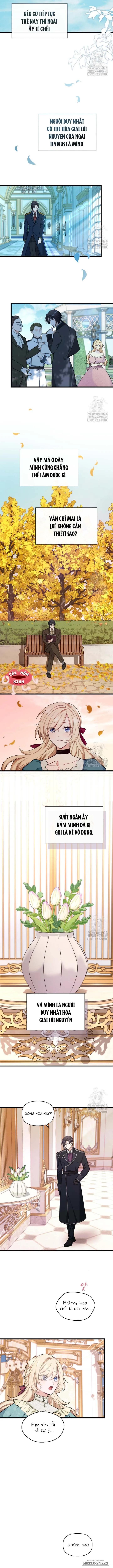 Bệ Hạ, Xin Hãy Quên Tôi Đi Chap 2 - trang 4