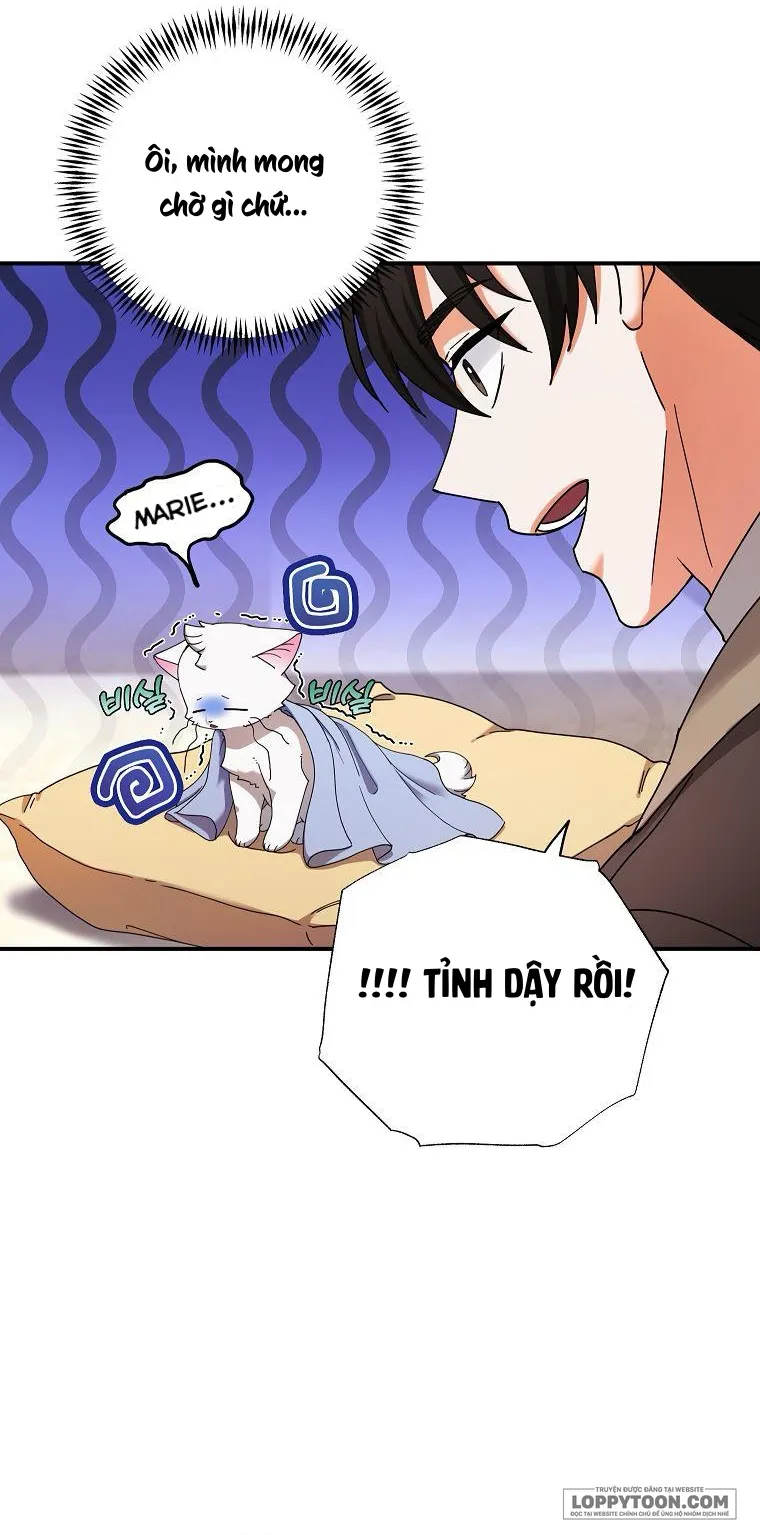 Trở Thành Miêu Nữ Của Hoàng Đế Chap 4 - trang 40