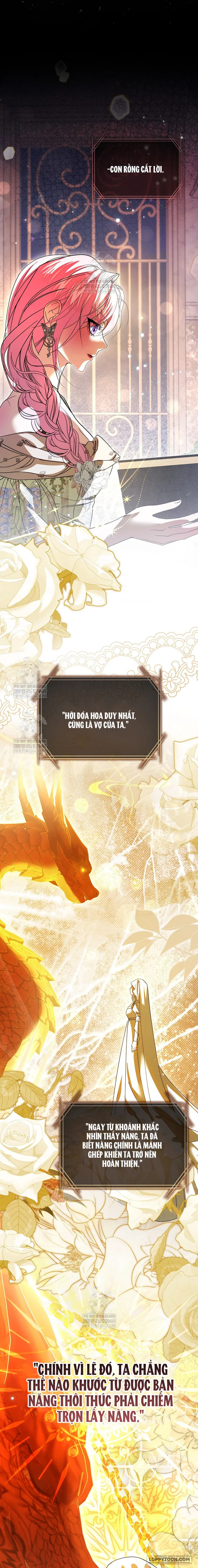 Tôi Sẽ Đổi Chồng Trước Bằng Hôn Nhân Cướp Đoạt Chap 15 - trang 17