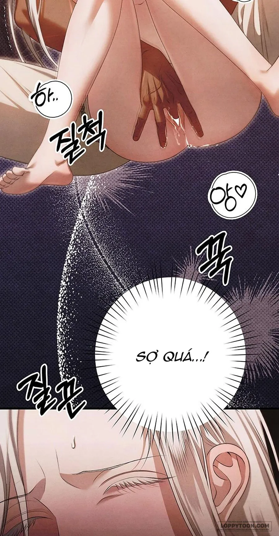 Cuộc Hôn Nhân Bị Cướp Đoạt Chap 3 - 🔞🔞🔞 - trang 9