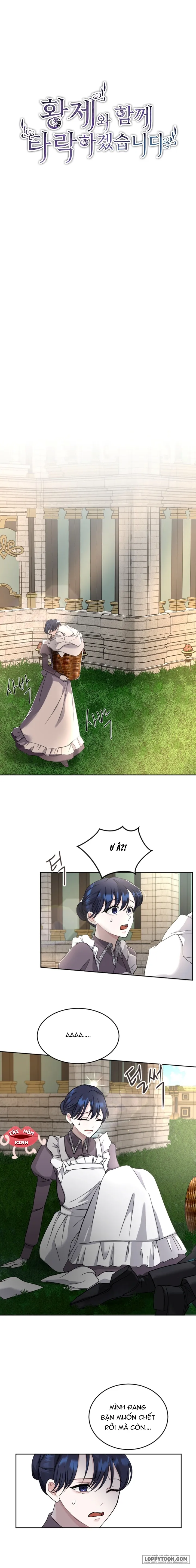 Tôi Sẽ Bị Trừ Khử Cùng Hoàng Đế Chap 24 - trang 1