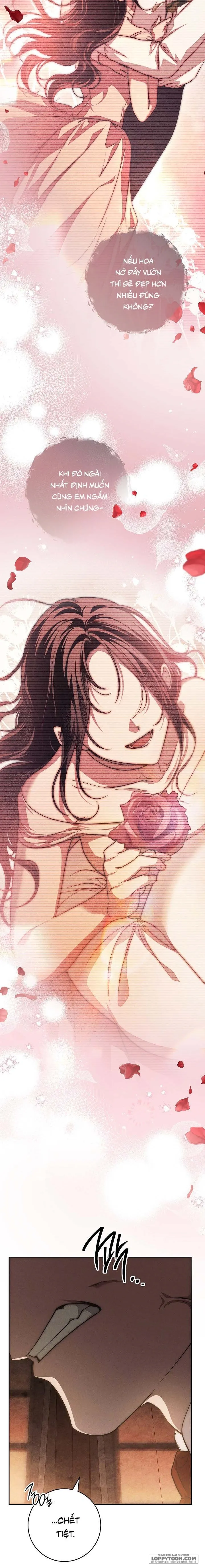 Mộ Thiên Nga Chap 24 - trang 20