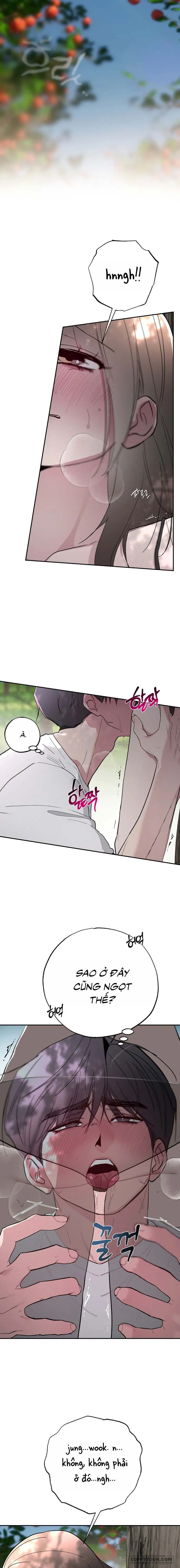 [KHÔNG CHE] Ẩn Tình Nơi Vườn Cây Ăn Quả Chap 5 - 🔞🔞 - trang 8
