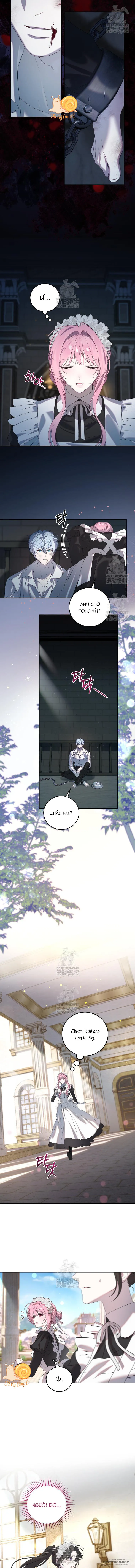 Kẻ Ám Ảnh Cuồng Tín Đang Cố Giam Cầm Tôi Chap 3 - trang 12