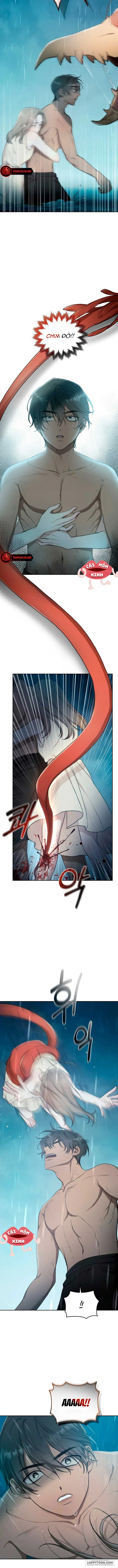Khu Rừng Hoang Dã Chap 4 - trang 8