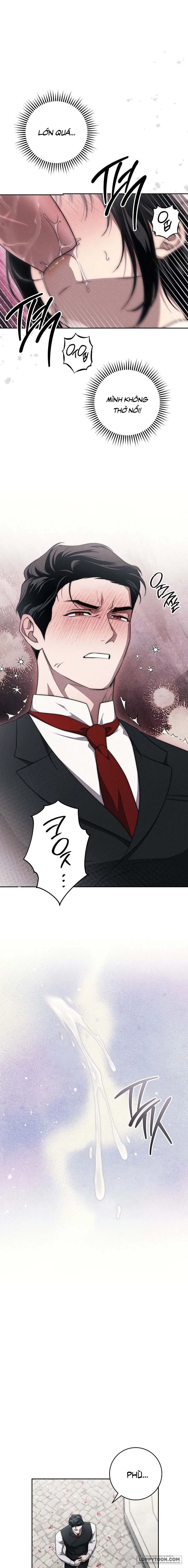 [KHÔNG CHE] Mộ Thiên Nga Chap 17 - 🔞🔞🔞 - trang 11