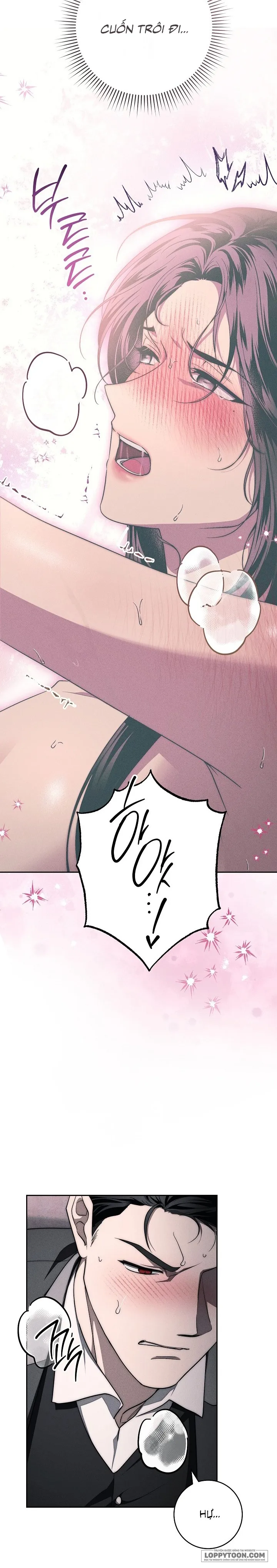 Mộ Thiên Nga Chap 11 - 🔞🔞🔞 - trang 11