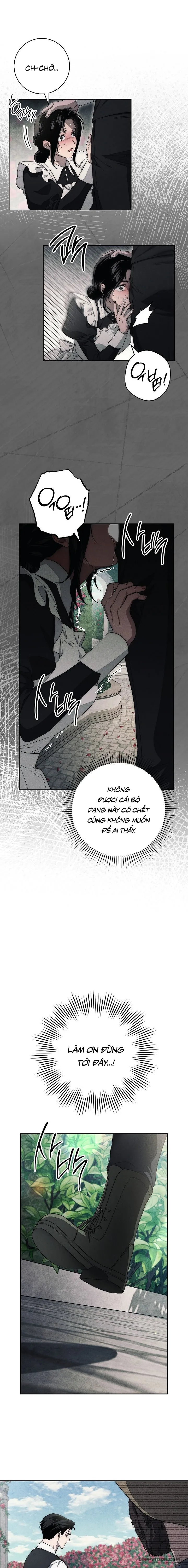 Mộ Thiên Nga Chap 17 - 🔞🔞🔞 - trang 5