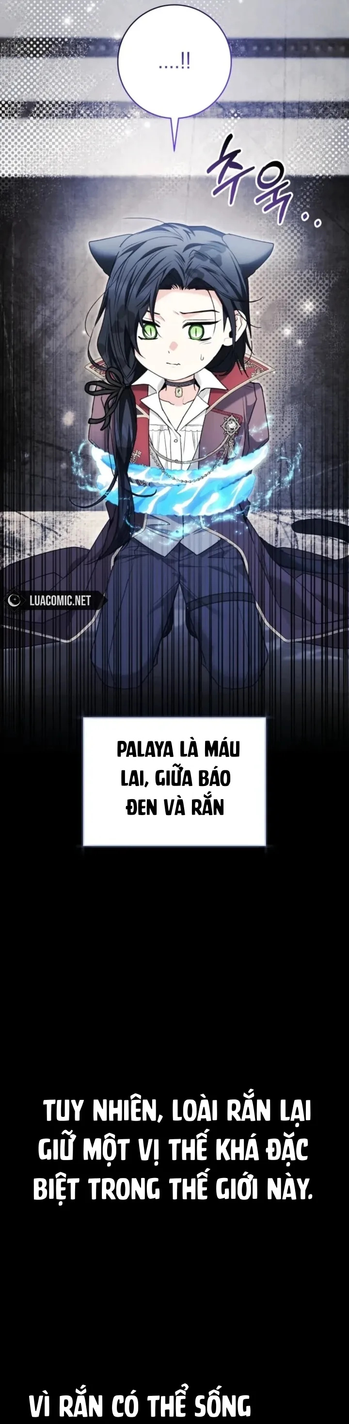 Bé Cá Voi Sát Thủ Phản Diện Chap 93 - trang 31