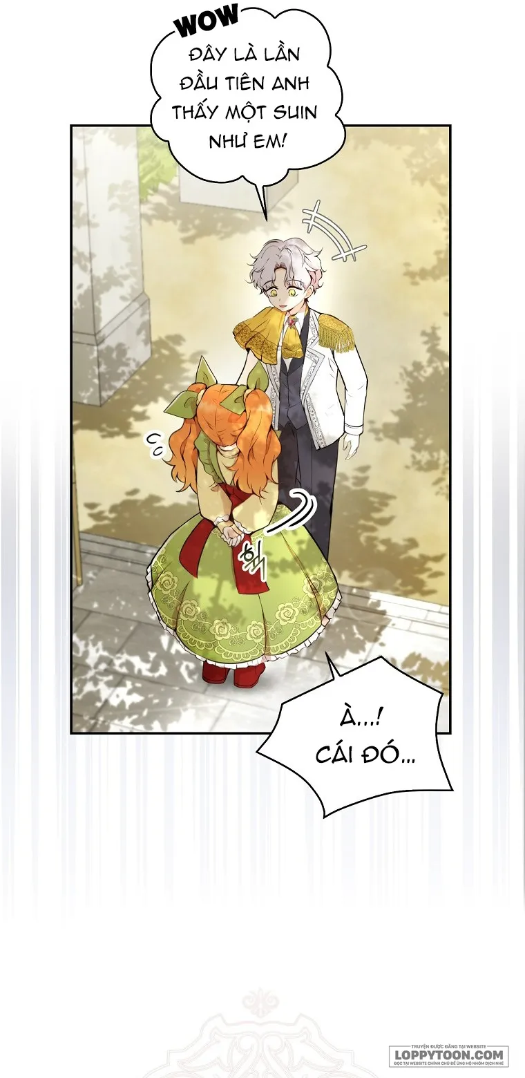 Sóc Con Tài Năng Chap 1 - trang 42