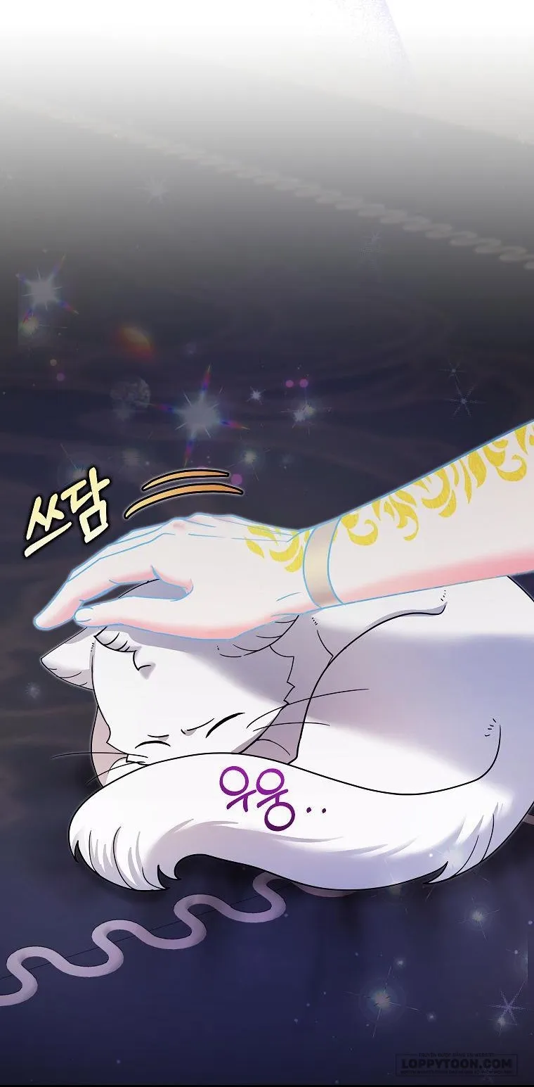 Trở Thành Miêu Nữ Của Hoàng Đế Chap 20 - trang 56