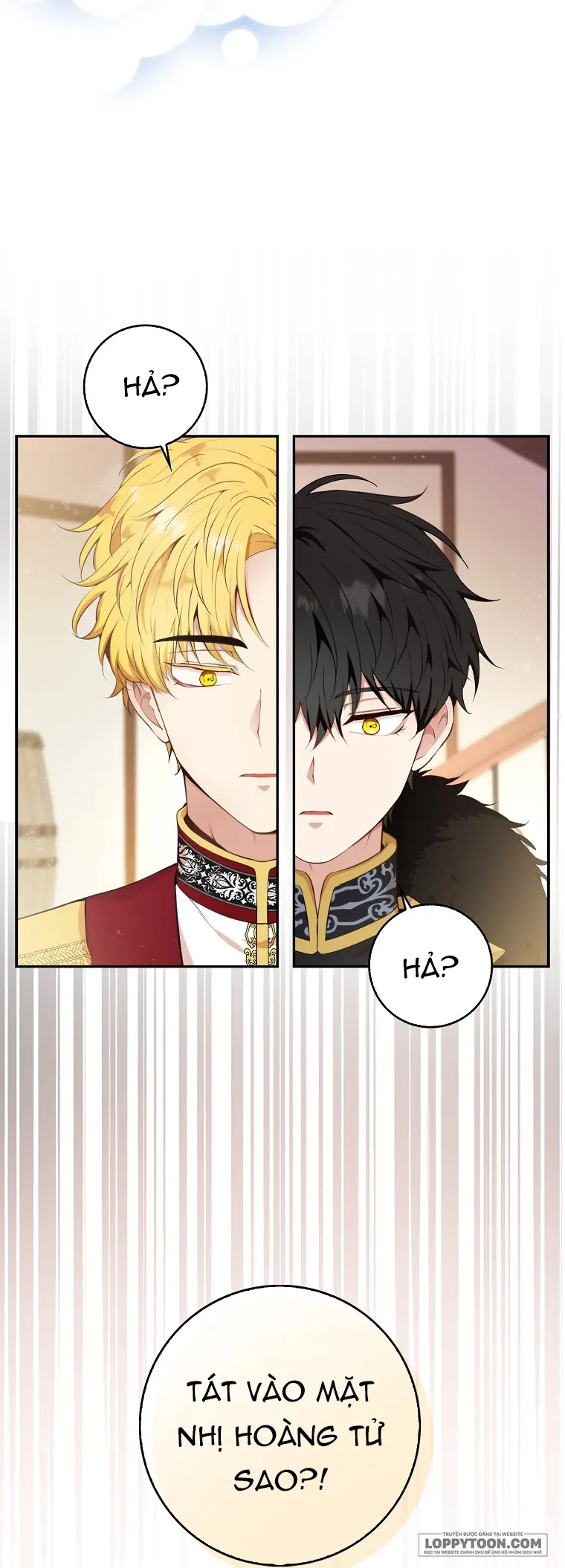 Sóc Con Tài Năng Chap 7 - trang 7