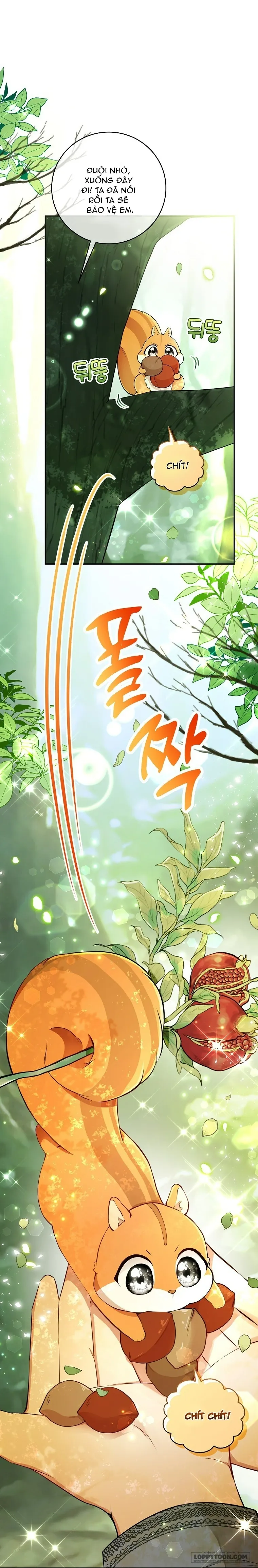 Sóc Con Tài Năng Chap 29 - trang 24