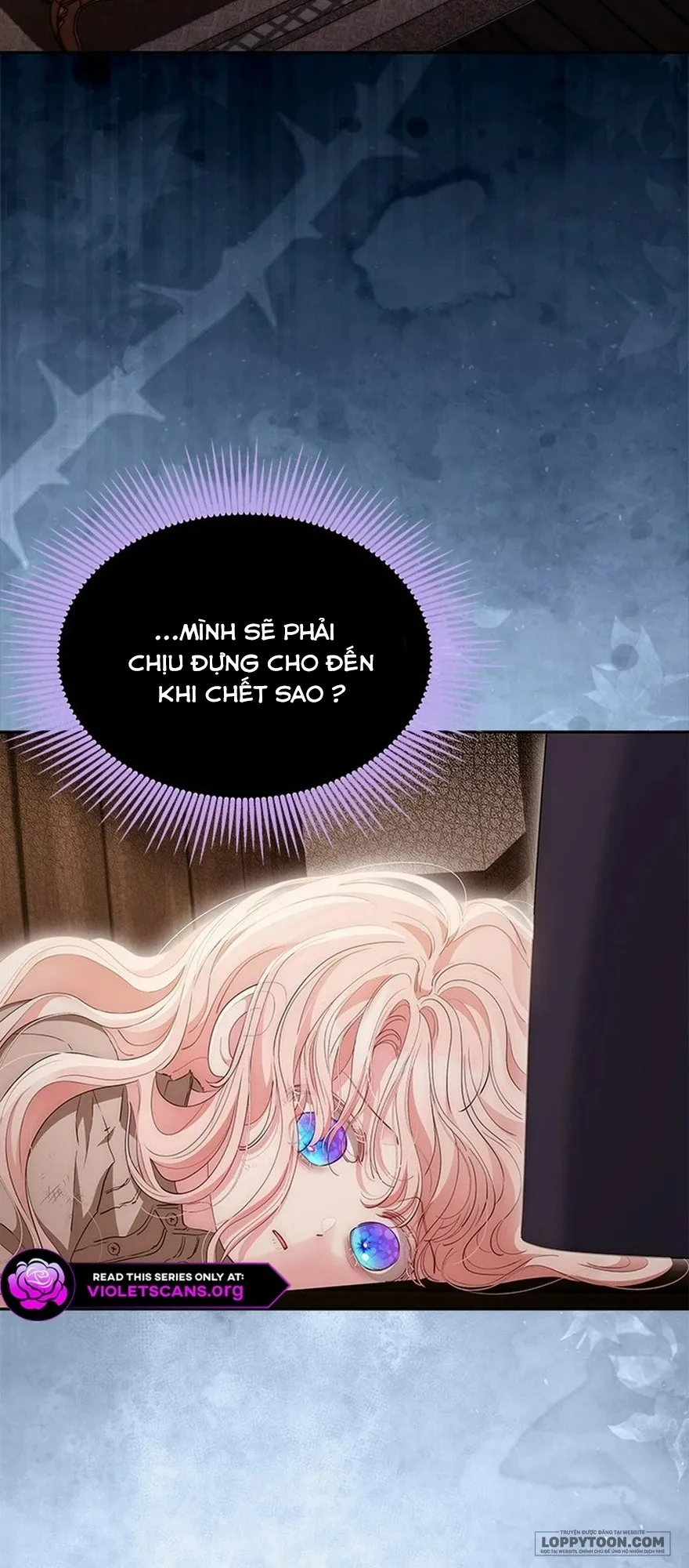 Đã Từ Chối Sủng Ái Rồi Mà Sao Còn Ám Ảnh Thế? Chap 80 - trang 2