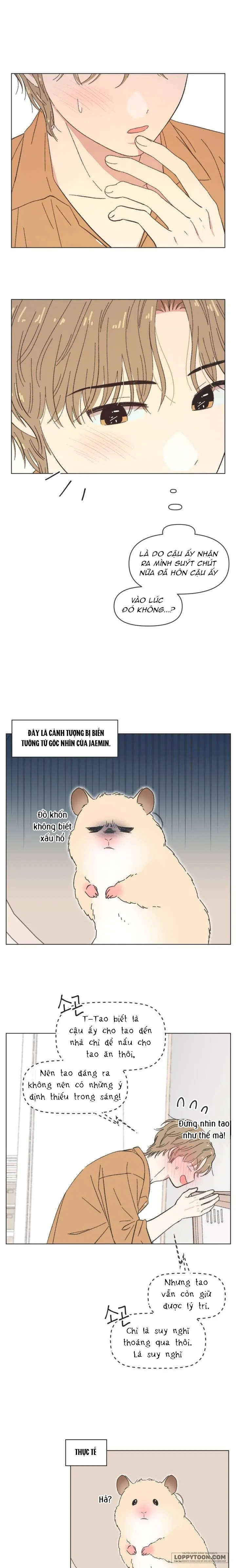 Thanh Xuân Ngọt Ngào Chap 61 - trang 3