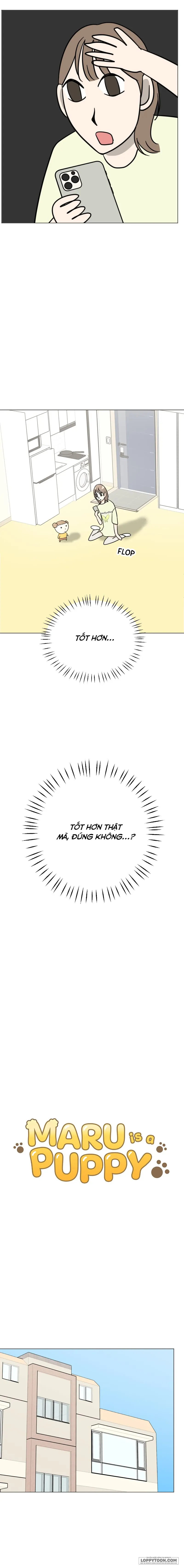 Maru là cún cưng của tôi Chap 13 - trang 10