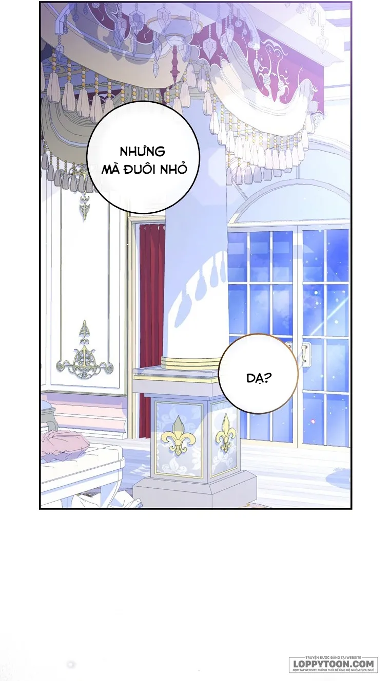 Sóc Con Tài Năng Chap 38 - trang 16