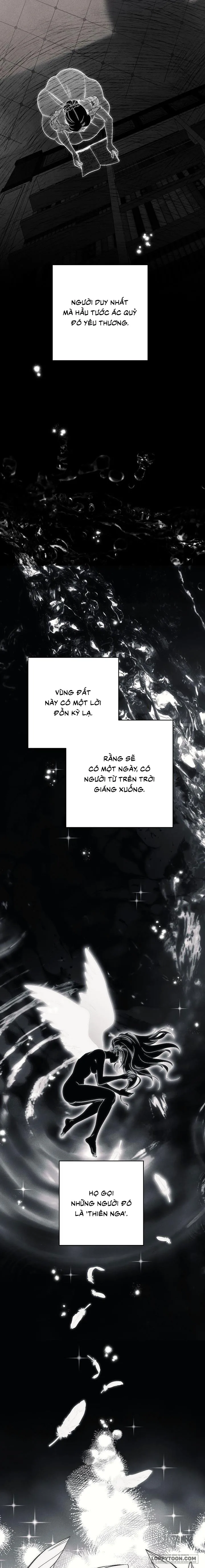 Mộ Thiên Nga Chap 1 - trang 7