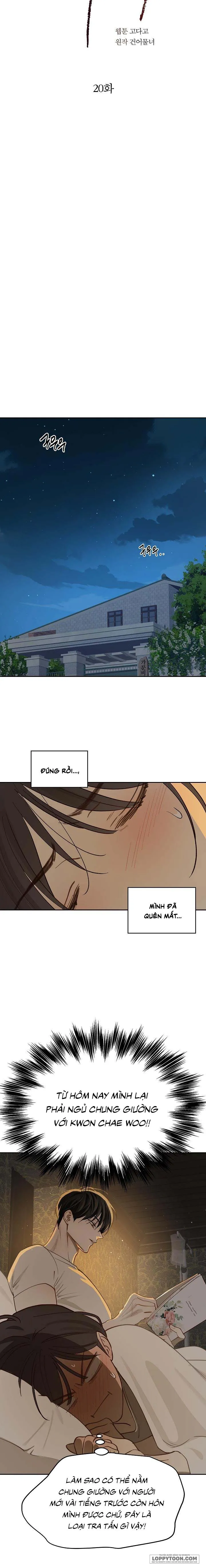 Đóa Hoa Là Mồi Nhử Chap 20 - trang 9