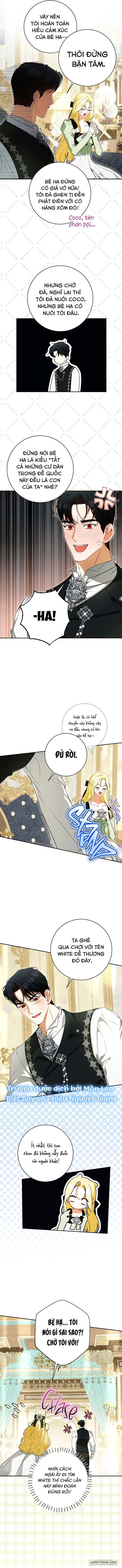Hình Như Tôi Đã Xuyên Vào Cuốn Tiểu Thuyết Nào Đó Chap 65 - trang 7