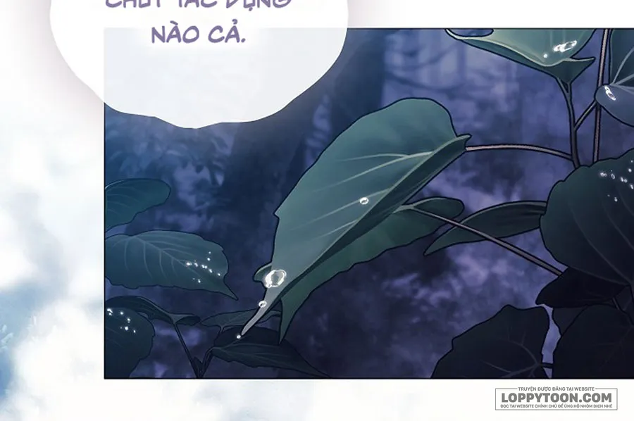 Dành Cho Các Nữ Thần: Dành Cho Daphne Chap 44 - trang 3