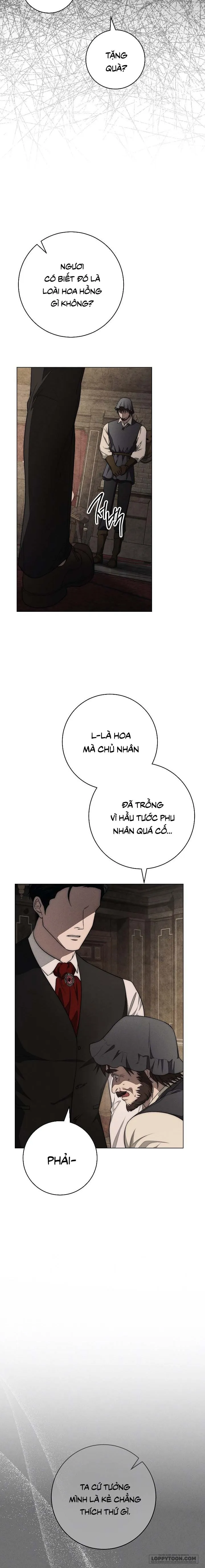 Mộ Thiên Nga Chap 23 - trang 13