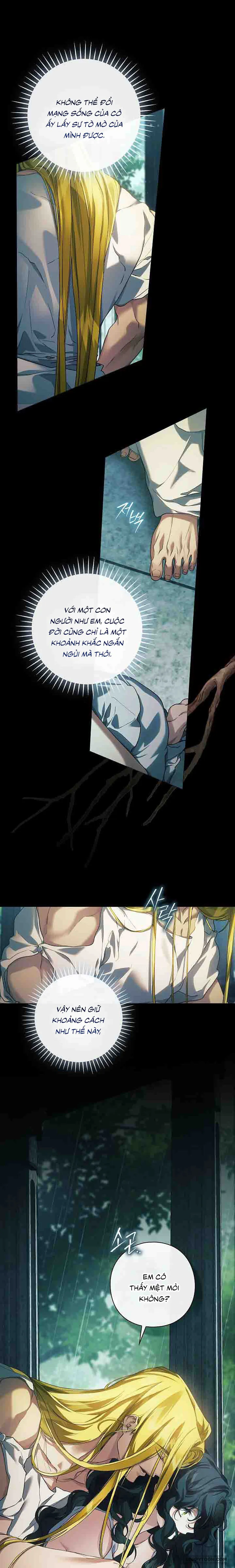 Dành Cho Các Nữ Thần: Dành Cho Daphne Chap 36 - trang 11