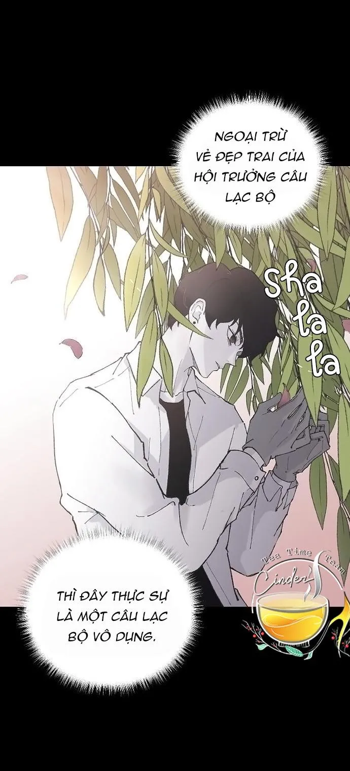 Ba Anh Trai Cực Phẩm Của Tôi Chap 7 - trang 33