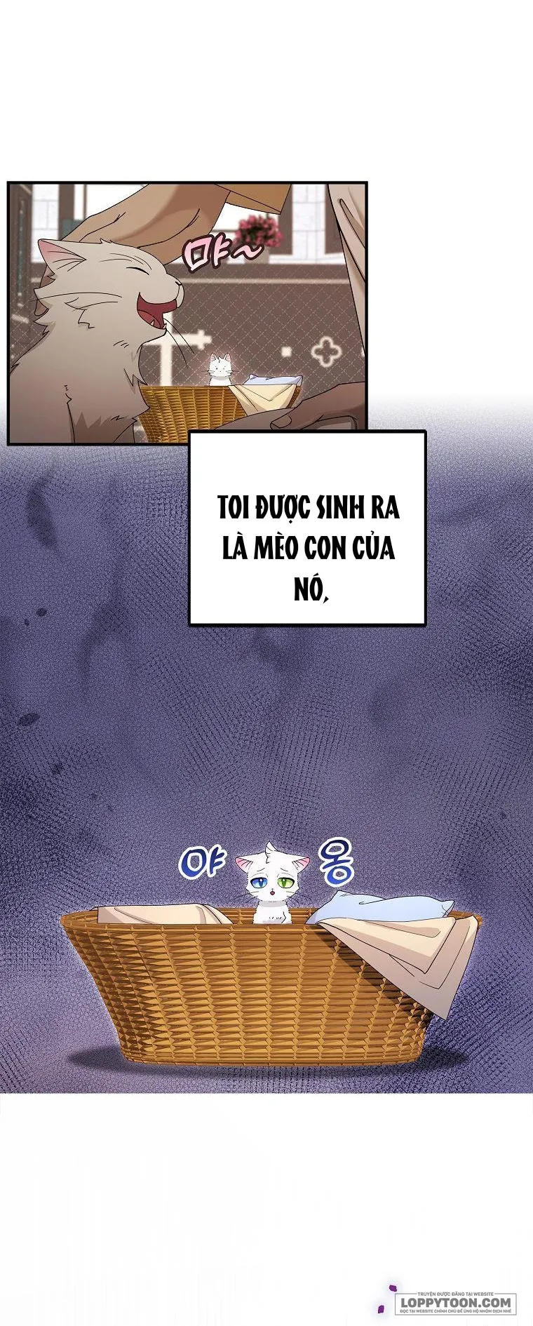 Trở Thành Miêu Nữ Của Hoàng Đế Chap 2 - trang 14