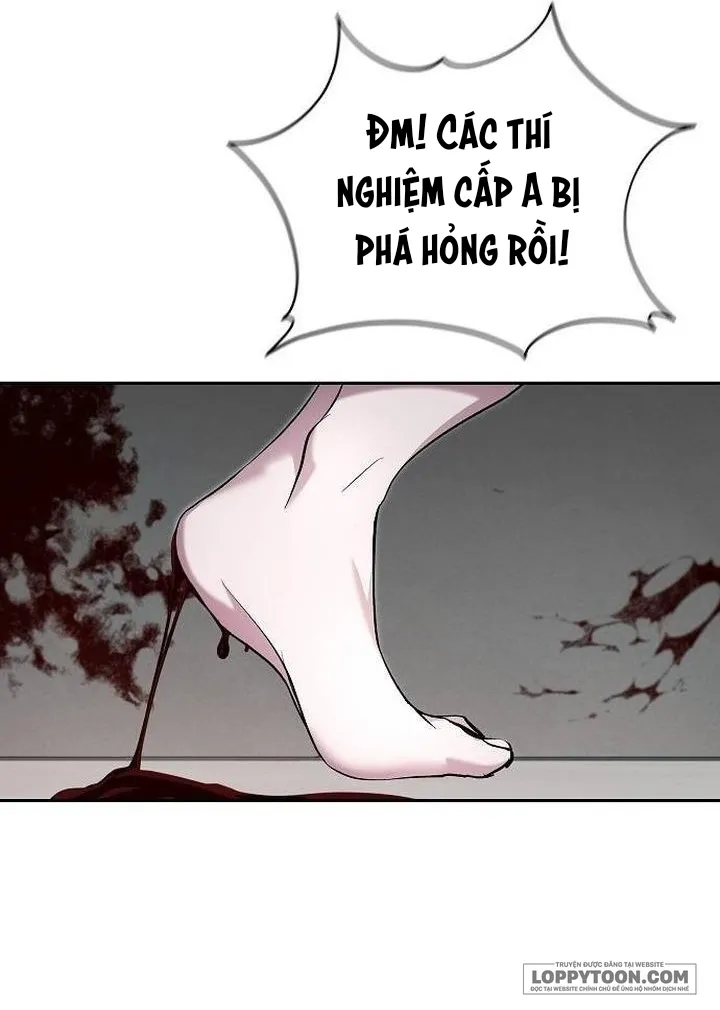 Thỏ Trắng Ở Xứ Sở Thần Tiên Chap 54 - trang 18