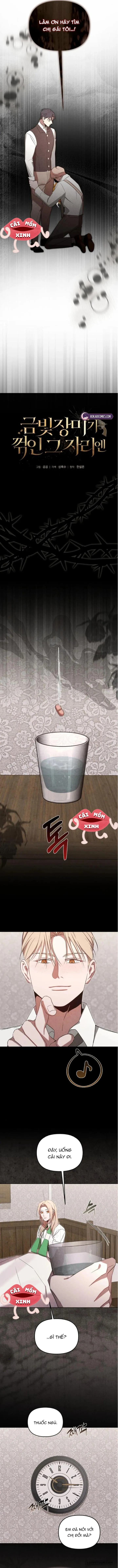 Nơi Đóa Hồng Vàng Úa Tàn Chap 19 - trang 7