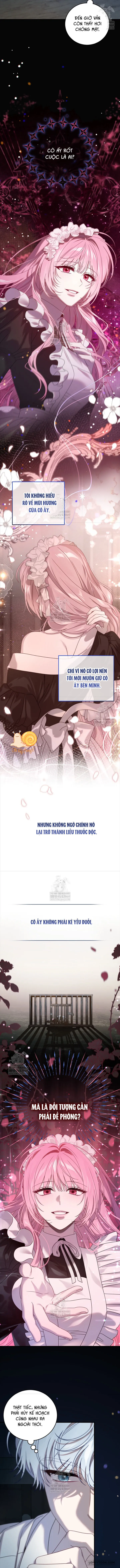 Kẻ Ám Ảnh Cuồng Tín Đang Cố Giam Cầm Tôi Chap 19 - trang 11