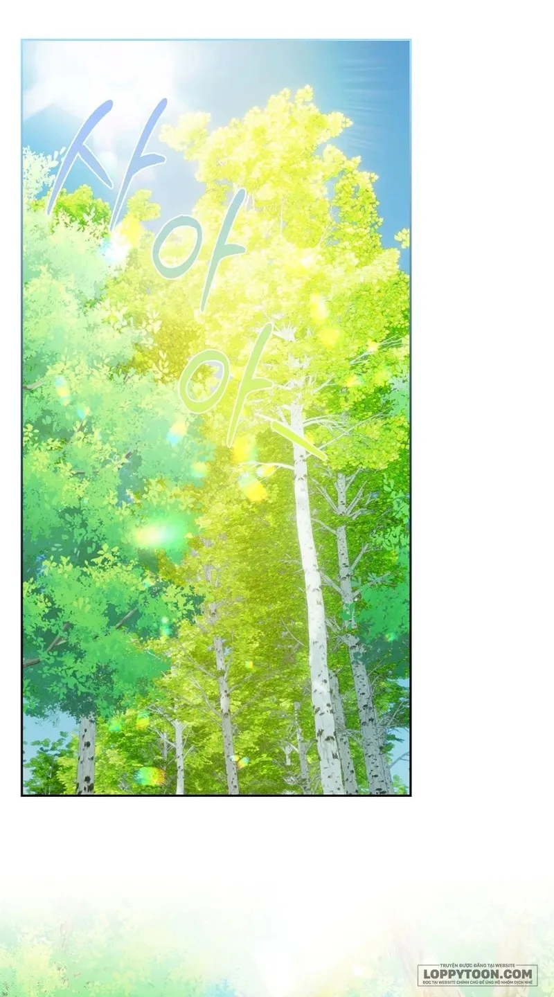 Tôi Sẽ Ly Hôn Với Anh Trai Nữ Chính Chap 51 - trang 16