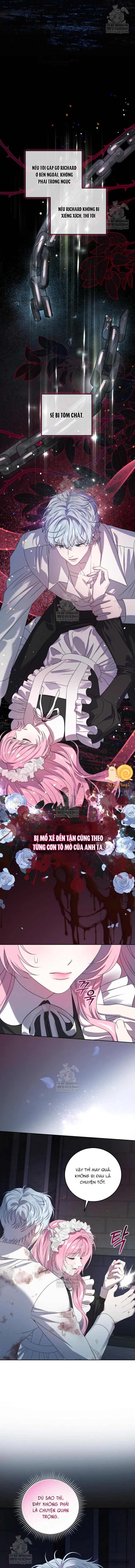 Kẻ Ám Ảnh Cuồng Tín Đang Cố Giam Cầm Tôi Chap 6 - trang 5
