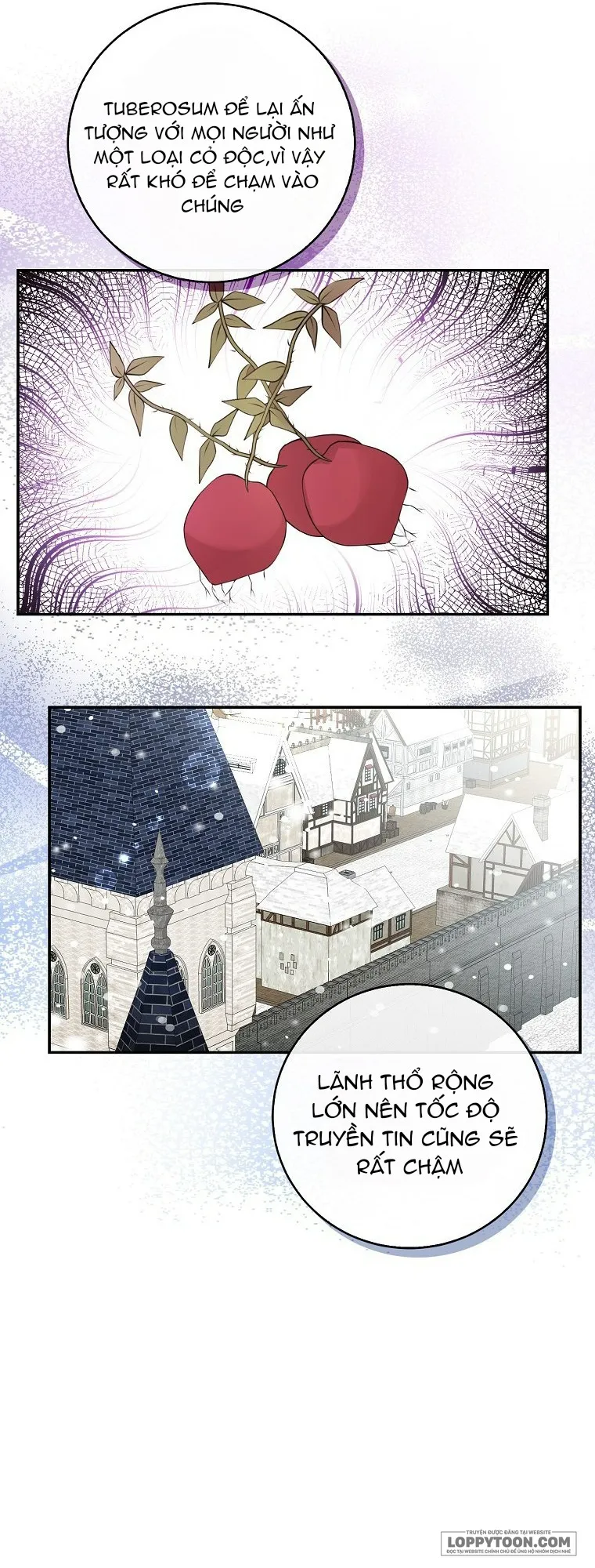 Sóc Con Tài Năng Chap 26 - trang 55