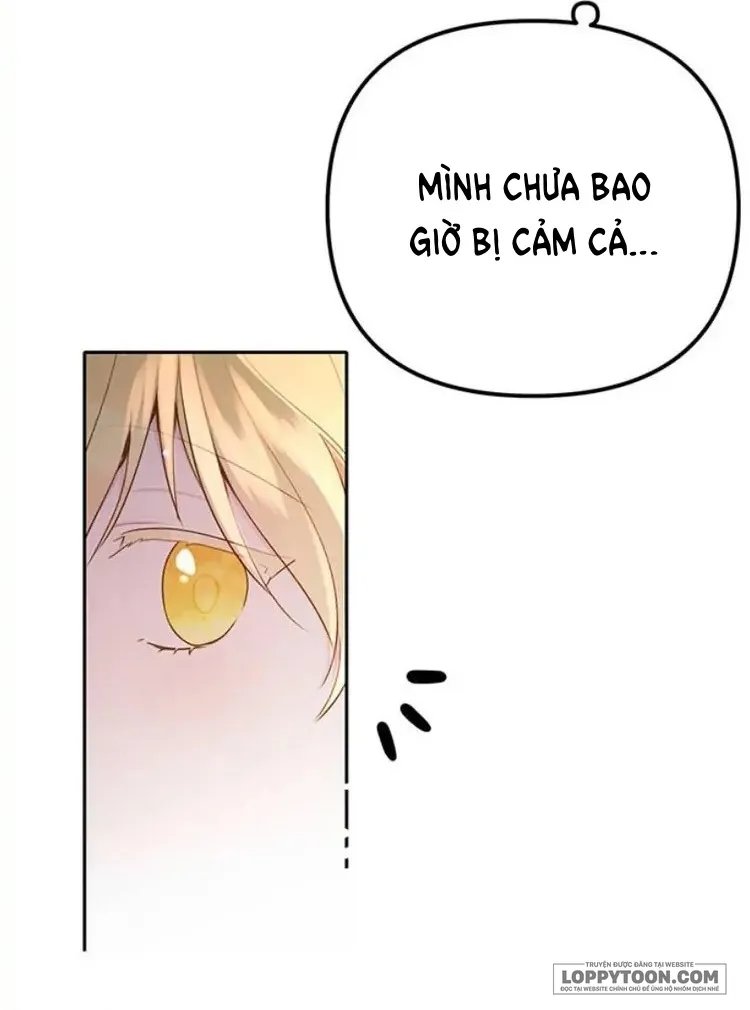 Cuộc Sống Hạnh Phúc Cùng Chồng Chap 8 - trang 3