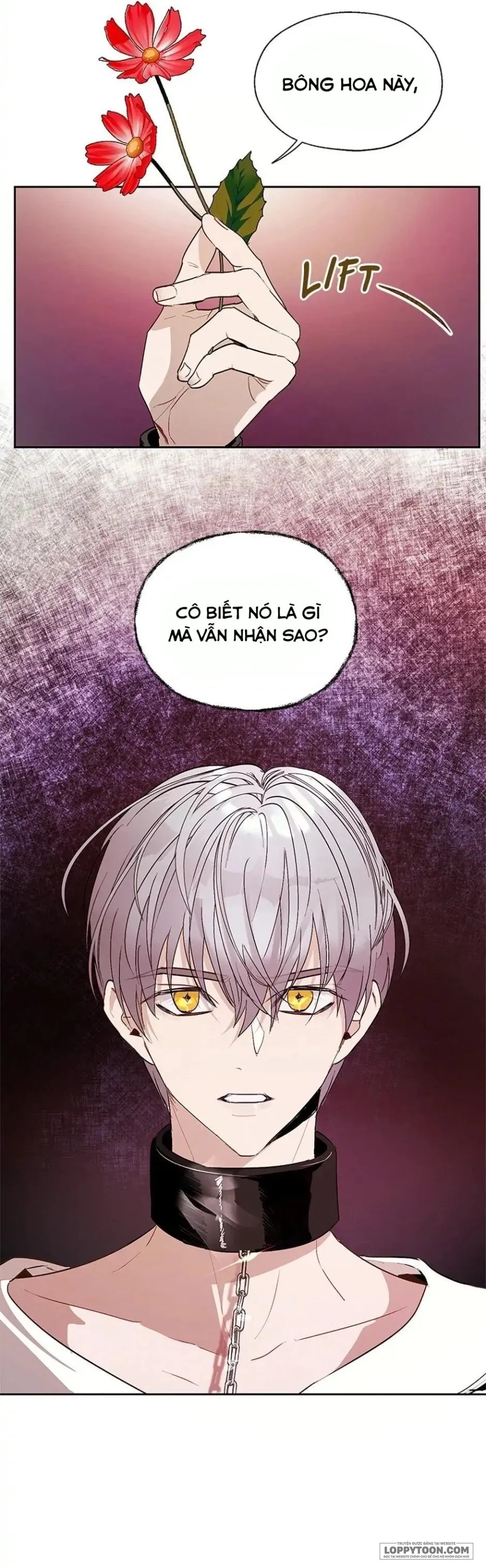 Roxana: Phương Pháp Bảo Vệ Anh Trai Của Nữ Chính Chap 20 - trang 3
