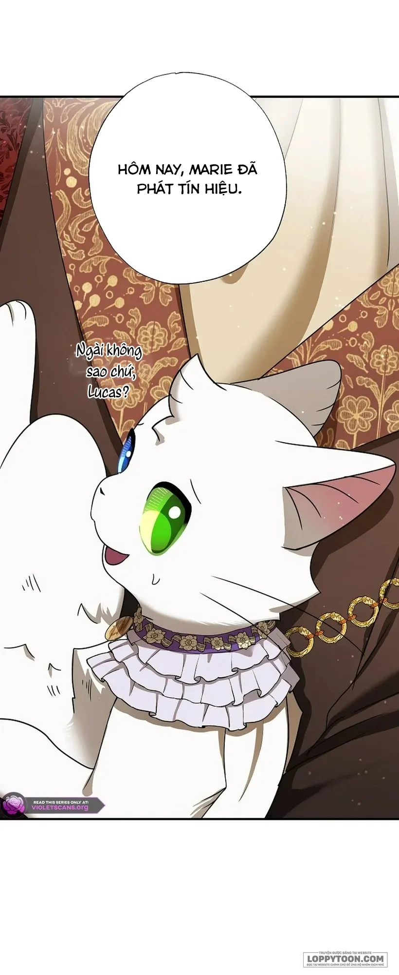 Trở Thành Miêu Nữ Của Hoàng Đế Chap 74 - trang 7