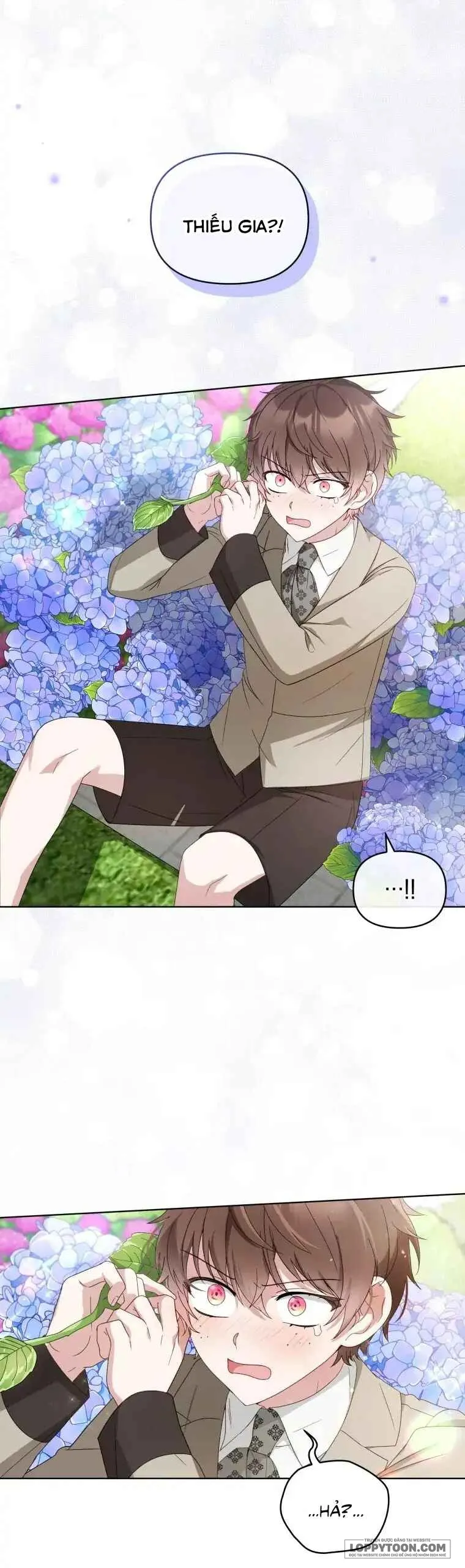 Chiếc Túi Bí Mật Của Quý Cô Xấu Xí Chap 8 - trang 2