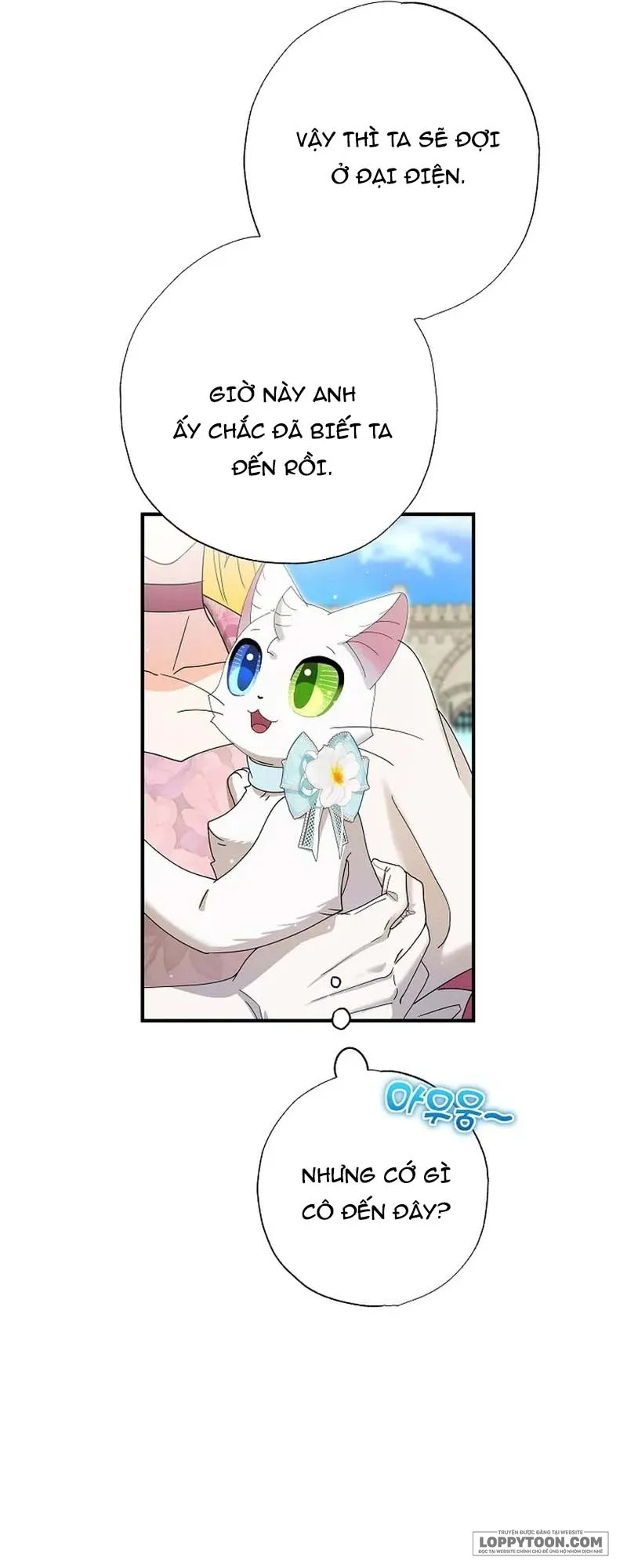 Trở Thành Miêu Nữ Của Hoàng Đế Chap 52 - trang 20