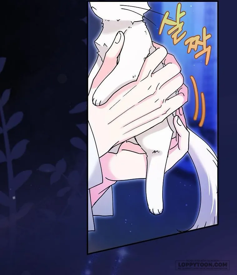 Trở Thành Miêu Nữ Của Hoàng Đế Chap 6 - trang 13